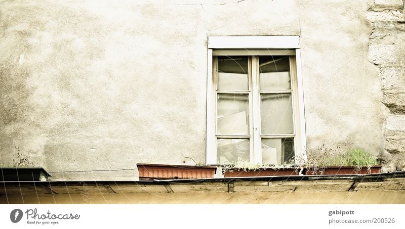 le marais Paris France House (Residential Structure) Building Architecture Wall (barrier) Wall (building) Facade Window Window box Window board Free Gray Green