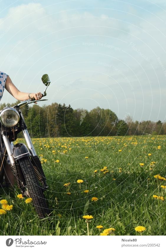 motor bee Lifestyle Leisure and hobbies Human being Nature Sky Clouds Spring Beautiful weather Grass Meadow Forest Motorcycle Freedom Nostalgia Break