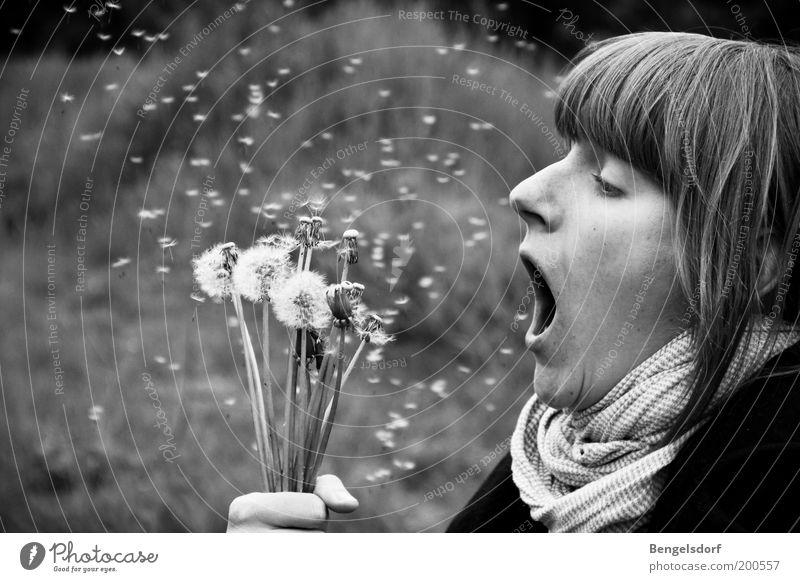 Dandelion becomes dandelion Human being Feminine Woman Adults Face Mouth Hand 1 Nature Plant Spring Summer Flower Blossoming Blow Seed Sneezing Titillation