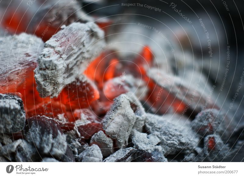 Summer is for barbecuing Glow Fire Ashes Hot Warmth Red Landscape format Colour photo Exterior shot Detail Macro (Extreme close-up) Red hot Copy Space right