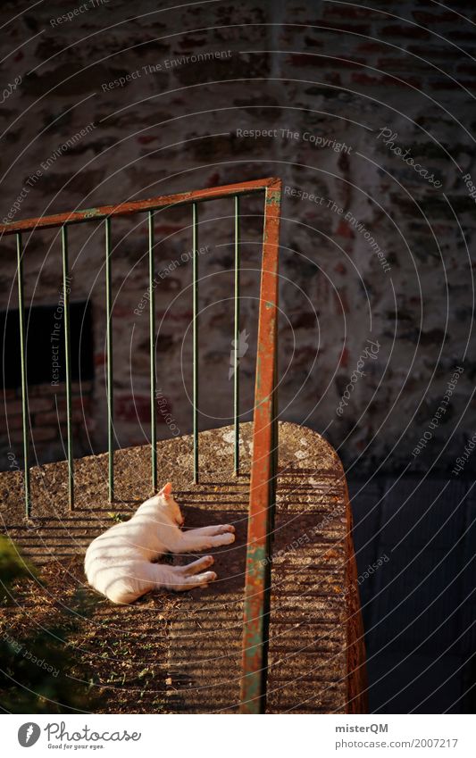 Sunny Cat. Art Esthetic Domestic cat South Handrail Backyard Sleep Lie Pet Animal Colour photo Subdued colour Exterior shot Detail Experimental Abstract