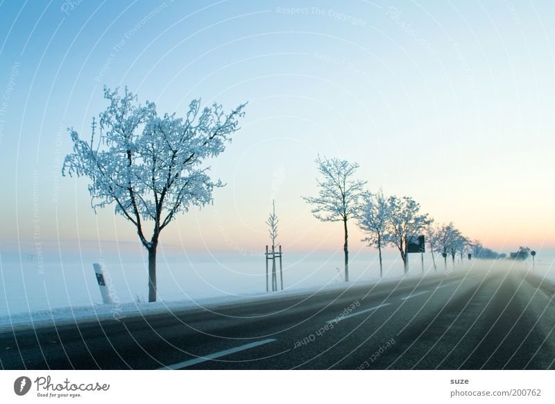 cold start Environment Nature Landscape Elements Sky Cloudless sky Horizon Winter Beautiful weather Fog Ice Frost Snow Tree Transport Traffic infrastructure