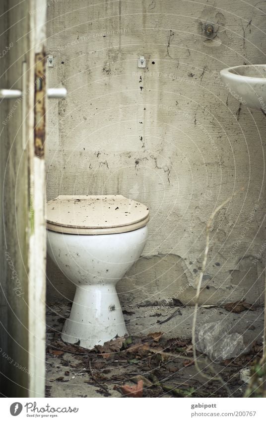 quiet place House (Residential Structure) Facade Door Toilet Sink Old Trashy Gloomy Sadness Decline Past Transience Change Living or residing Destruction