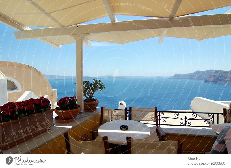 Greek view Lifestyle Luxury Elegant Style Joy Vacation & Travel Tourism Far-off places Sightseeing Summer vacation Ocean Island Restaurant Santorini Greece