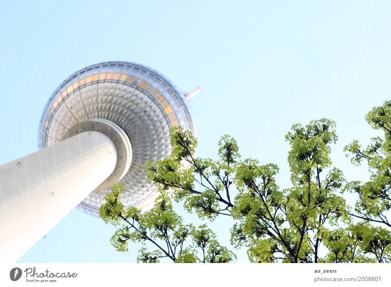 Television tower in spring Tourism TV set Technology Spring Summer Tree Berlin Germany Europe Capital city Downtown Tower Manmade structures Building