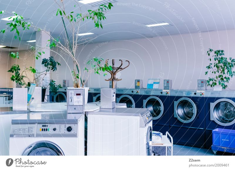 Nice and clean Washer Plant Town Building Architecture Laundry Old Hip & trendy Cold Retro Clean Trashy Gloomy Blue Green Calm Design Loneliness Colour