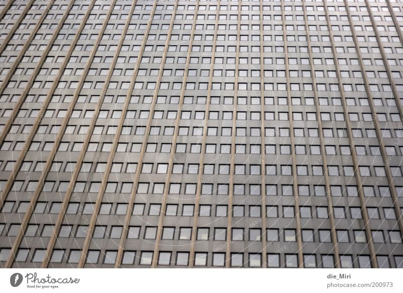 The view is fantastic... Town High-rise Facade Window Stone Glass Brown Gray Gloomy Colour photo Subdued colour Exterior shot Deserted Day Pattern Mesh grid