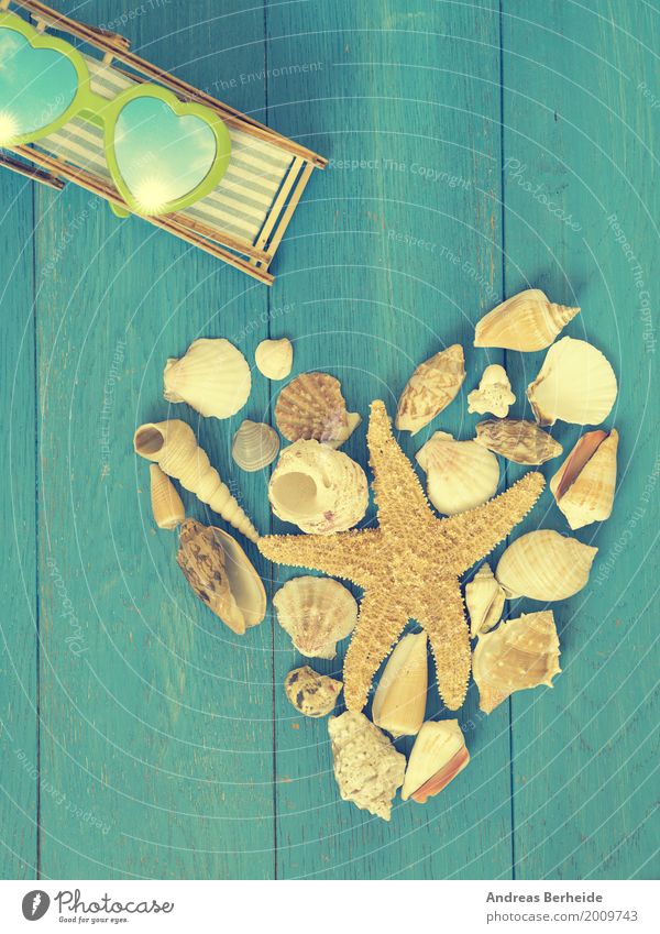 time-out Relaxation Vacation & Travel Summer Beach Retro heart shape shell sea holiday starfish Symbols and metaphors romantic romance decoration shaped