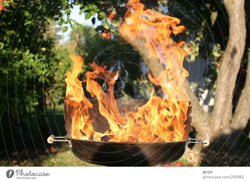 THE FLAMING GRILL MK III Environment Nature Plant Fire Tree Garden Meadow Barbecue (apparatus) Hot Yellow Red Dangerous Barbecue (event) Warmth Apple Burn