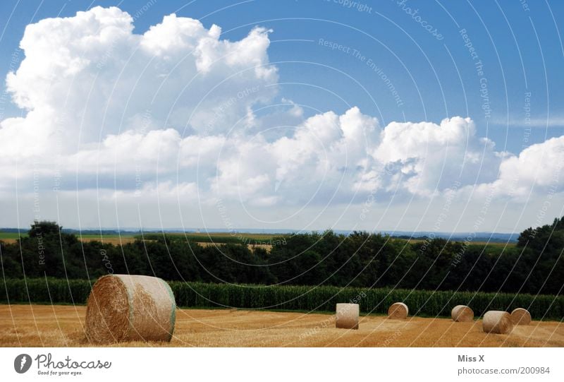 An autumn picture for ad Rian Calm Trip Summer Nature Landscape Sky Clouds Beautiful weather Bushes Meadow Field Round Hay bale Agriculture Cornfield Coil Roll