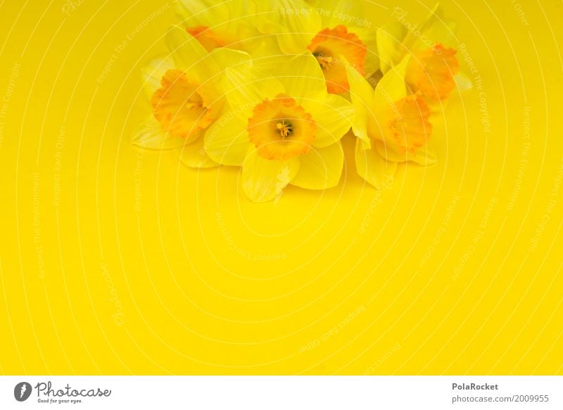 #AS# Easter Yellow IV Art Work of art Esthetic Narcissus Easter wish Easter Monday Easter gift Bouquet Gaudy Colour photo Multicoloured Interior shot