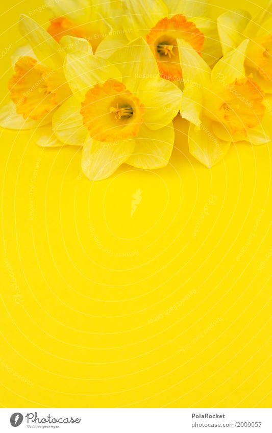 #AS# Easter Yellow II Art Work of art Esthetic Narcissus Gaudy Many Easter egg nest Easter wish Easter Monday Spring Spring fever Spring flower Spring day