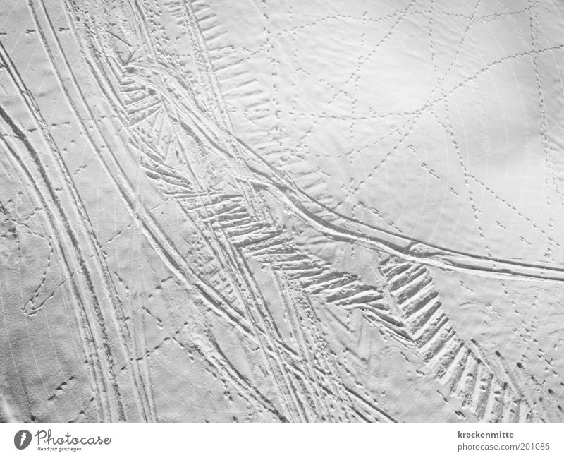 The trail is cold Landscape Winter Snow Ski lift Pattern Footprint Cold Loneliness Winter vacation Ski piste Animal tracks Skiing Vacation & Travel Cross White