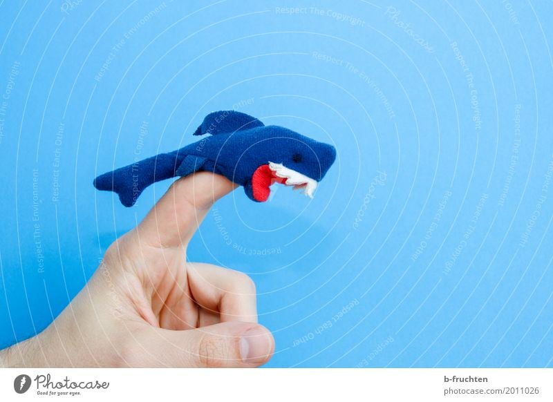 Careful, biting! Fingers Puppet theater Ocean Aquarium Playing Aggression Threat Wild Anger Blue Colour Inspiration Shark felt figure Felt Teeth Set of teeth