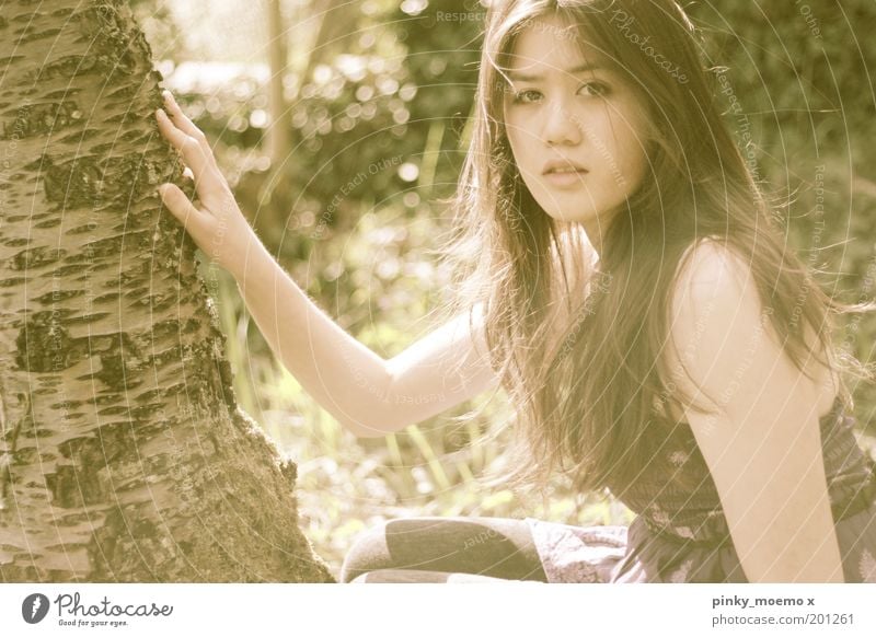 touch Human being Feminine Young woman Youth (Young adults) 1 Moody Tree Blur Tree bark Face Touch Garden Exterior shot Light Shadow Back-light