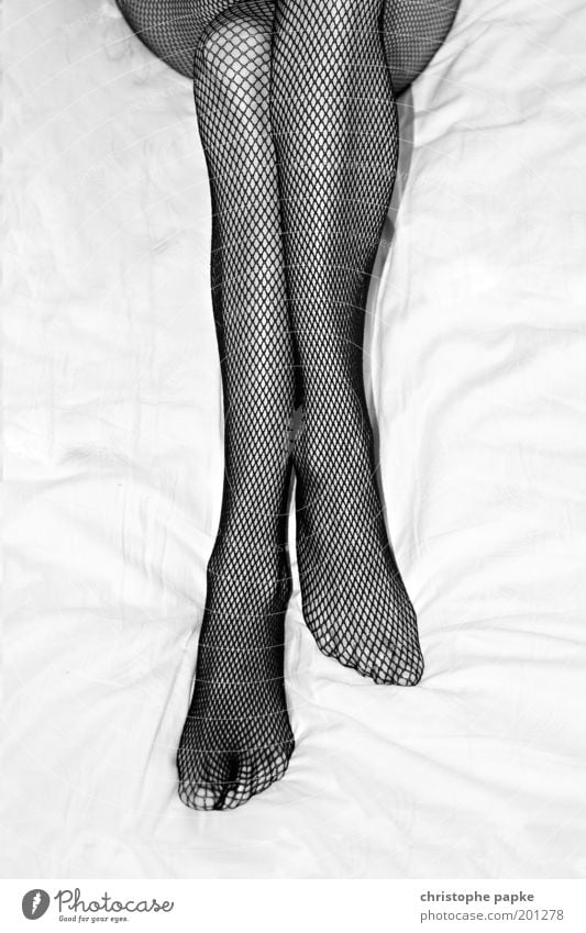 Man's imagination is woman's best weapon. Elegant Feminine Young woman Youth (Young adults) Woman Adults Legs Feet 1 Human being 18 - 30 years Tights Lie Long