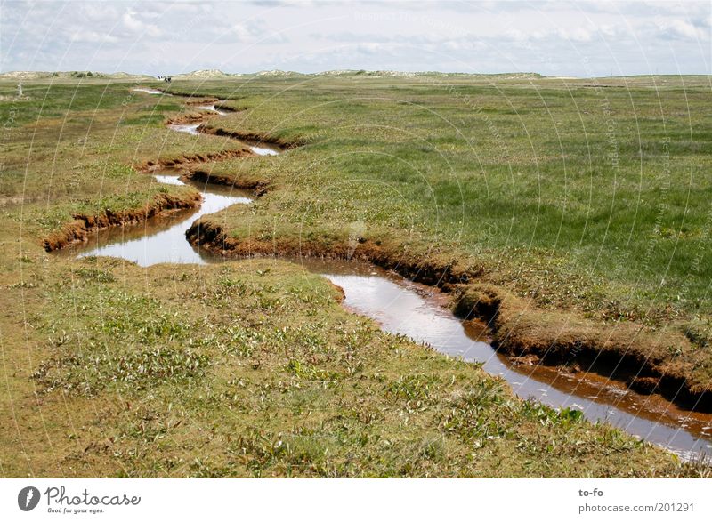 ~ Nature Landscape Water Spring Beautiful weather North Sea Island Freedom Tourism Colour photo Exterior shot Deserted Day Wide angle River Wiggly line Meadow