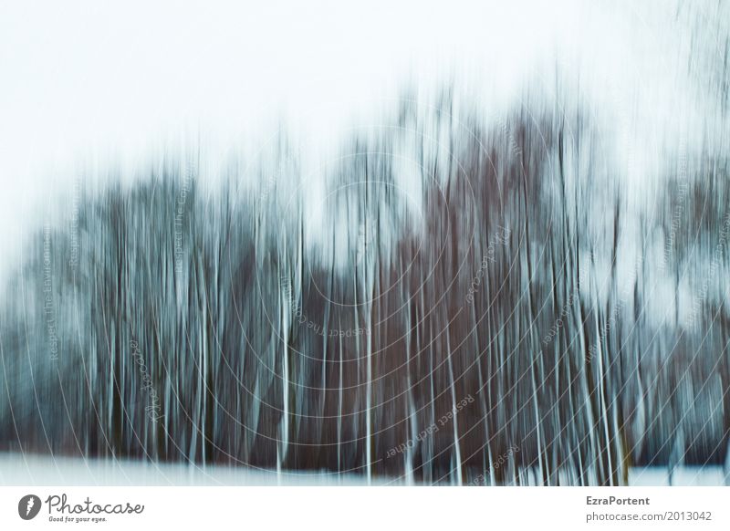 ||||| Decoration Environment Nature Landscape Sky Winter Climate Climate change Weather Ice Frost Snow Tree Forest Wood Line Cold Gray Black White Design Colour