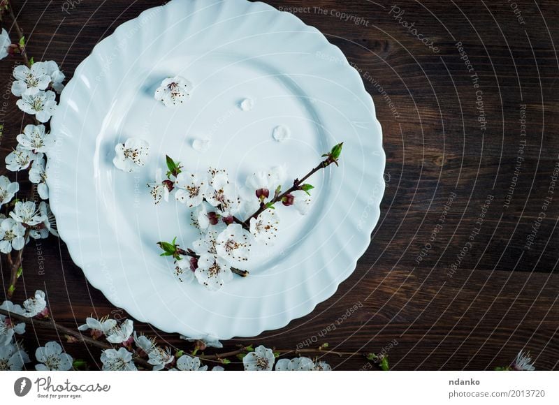 Ceramic white plate on a brown surface Lunch Dinner Plate Table Kitchen Restaurant Flower Places Wood Old Above Retro Brown White Dish Meal Vantage point