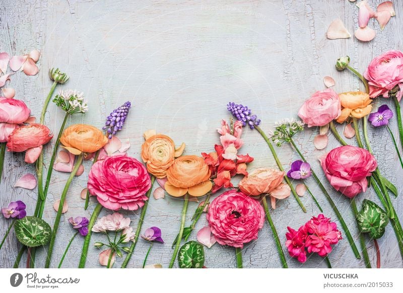 Beautiful flowers on Shabby Chic background Style Design Summer Feasts & Celebrations Valentine's Day Mother's Day Wedding Birthday Nature Plant Flower Rose