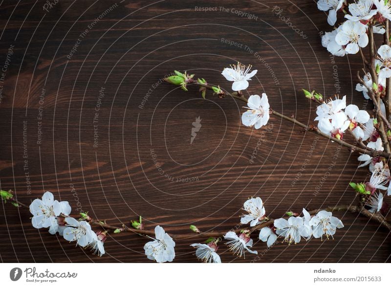 White Flower Paper Cut On Wooden Plank Background With Copy Space And Light  Flare Effect Stock Photo, Picture and Royalty Free Image. Image 59709358.