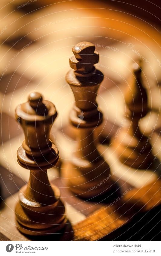 Chess I Leisure and hobbies Playing Board game Think Chess piece Figure Brainteaser Tactics Lady King Colour photo Interior shot Close-up Deserted
