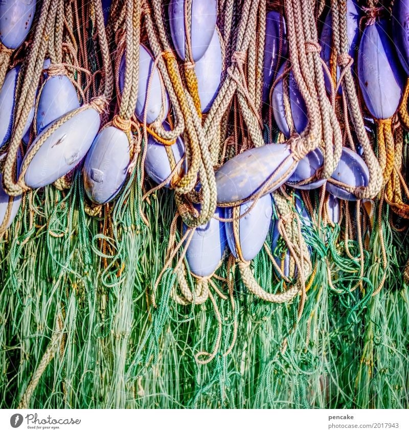 Easter eggs on the net Beautiful weather Hang Fishing net Violet Green Rope Fishery Fishing float Decoration Maritime Colour photo Exterior shot Close-up Detail