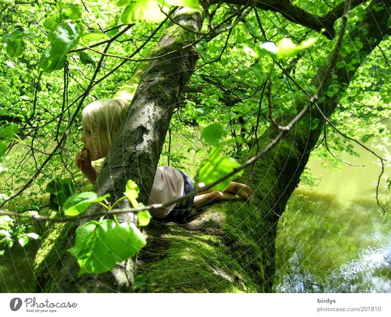 house tree Playing Adventure Child Girl Infancy 1 Human being 3 - 8 years Nature Water Summer Beautiful weather Tree Moss Forest Lakeside To enjoy Lie Looking