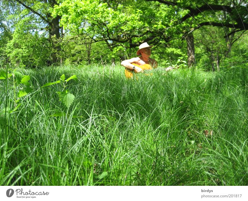 Forest and meadow musicians Joy Summer Music Musician Guitar Beautiful weather Grass Hat To enjoy Free Natural Positive Green Happy Contentment Peaceful