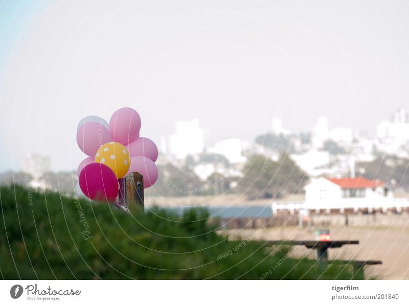 balloons on the beach Balloon Pink Red Yellow White Skyline Building House (Residential Structure) Beach Sand Grass Knoll grassy knoll Jetty San Francisco Joy