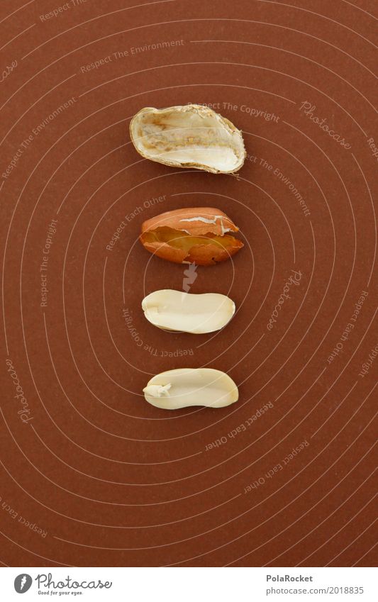 #A# disassembled Art Esthetic Peanut Nut Nutshell Nut brown 4 component Brown Delicious Part Sheath Creativity Construction Colour photo Multicoloured