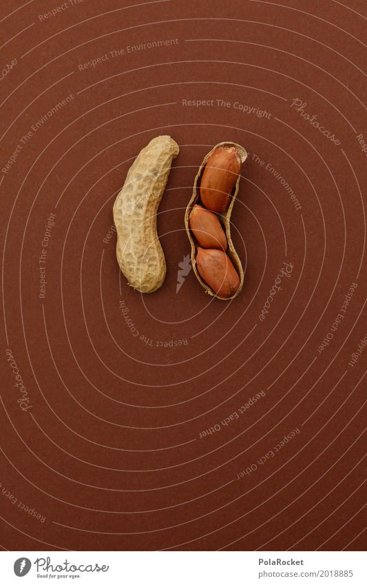 #A# Promo Action Art Esthetic Nut Nutshell Nutcrackers Nut brown 3 1 Multiple Bonus Creativity Snack Peanut Delicious Healthy Eating Colour photo Subdued colour