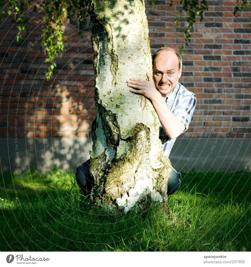 Behind The Tree Masculine Head Face 1 Human being 30 - 45 years Adults Aggravation Hiding place Hide Funny Whimsical Freak Colour photo Exterior shot