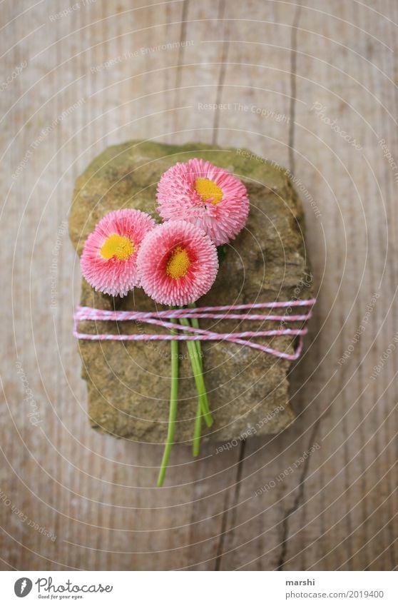 for you Nature Plant Flower Emotions Moody Friendship Together Infatuation Mother's Day Valentine's Day Spring Stone Decoration Packaging Gift Surprise Bouquet