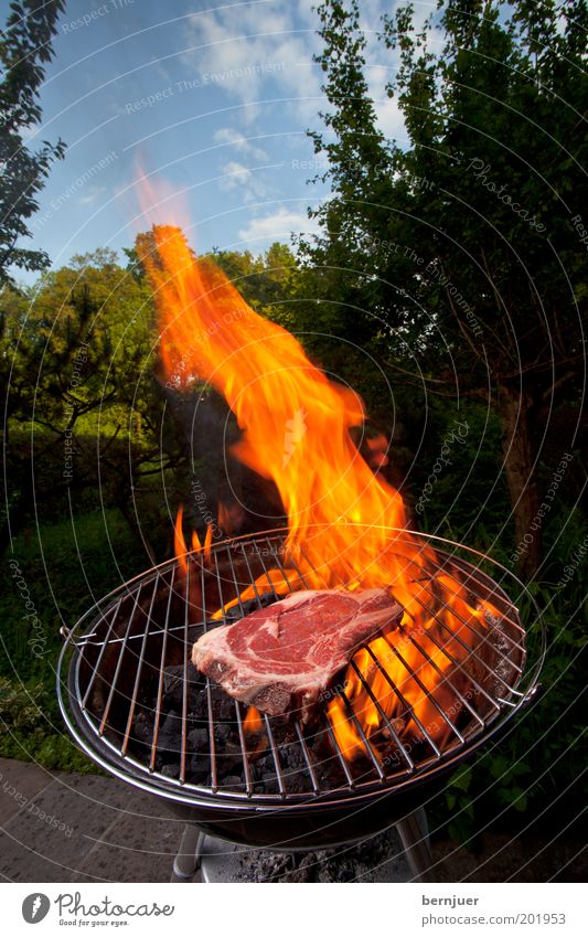 angrillas Barbecue (apparatus) Meat Flame Fire Burn Steak Sky Raw Clouds Tree Garden Summer Barbecue (event) Coal Warmth Smoke Orange Beef Day Household Grass