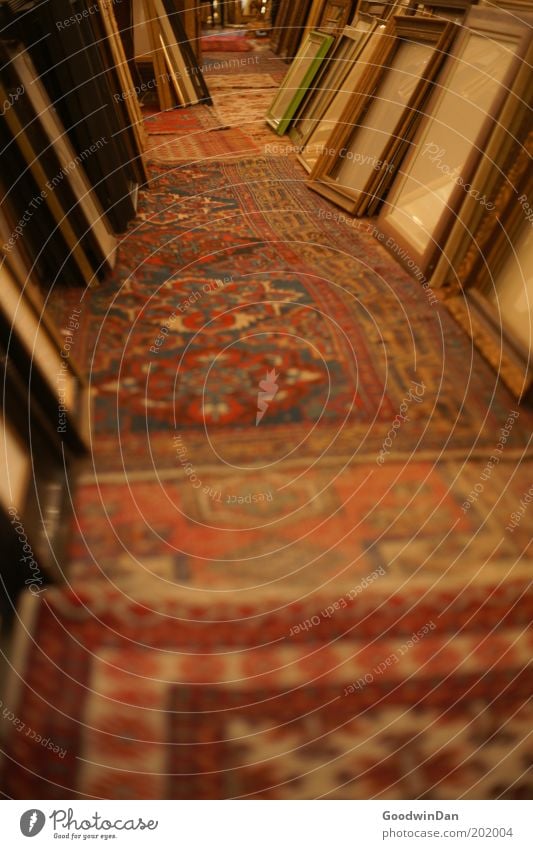 "Just take the one that suits you" Frame Carpet Select Old Uniqueness Gloomy Judicious Colour photo Interior shot Deserted Historic Ancient Selection