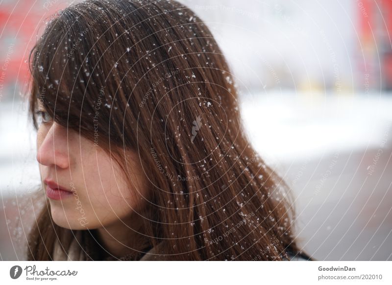 Elsewhere Human being Young woman Youth (Young adults) Head Observe Freeze Cold Feminine Emotions Contentment Bravery Fatigue Colour photo Exterior shot Dawn