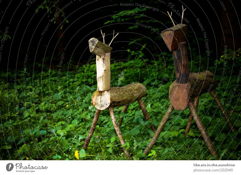 2 stags stand in the forest very still & silent Hunting Sculpture Plant Summer Tree Grass Bushes Garden Park Forest Virgin forest Animal Wild animal Roe deer