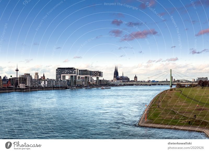 Cologne Town Skyline Tourist Attraction Landmark Dome Natural Panorama (View) Severins bridge Cologne Cathedral Rhine River Bollard Meadows Dusk City