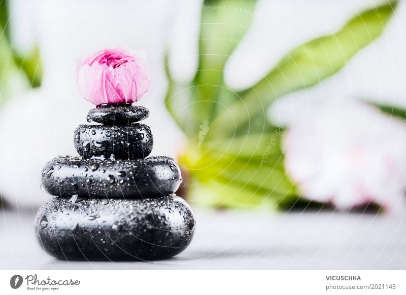 Stack of hot massage stones Design Healthy Wellness Cure Spa Massage Summer Decoration Nature Pink Style Background picture Stone Flower Medical treatment