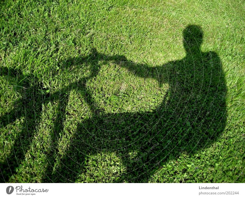 Cycling on the meadow Human being Masculine Man Adults Meadow Driving Green Bicycle Break Exterior shot Copy Space top Day Light Sunlight Shadow Silhouette