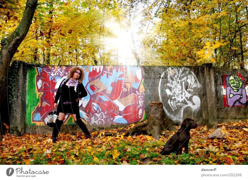 Crazy Girl goes for a walk Woman Lady Clothing Bag Boots Dog Puppy Walk the dog To go for a walk Forest Tree Wall (barrier) Painting (action, artwork) painting