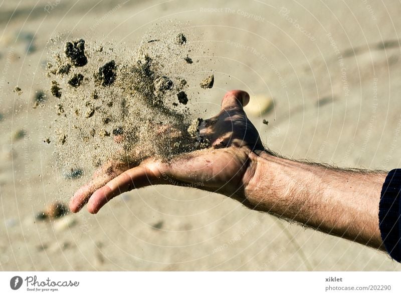 sand Arm Hand Fingers 1 Human being Sand Water Summer Coast Beach Ocean Playing Free Natural Yellow Power Determination Relaxation Stress Colour photo