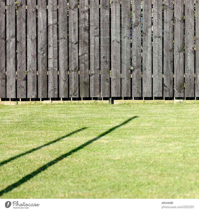 garden fence Plant Grass Garden Meadow Fence Wooden fence Green Colour photo Abstract Pattern Structures and shapes Day Light Shadow Contrast Sunlight