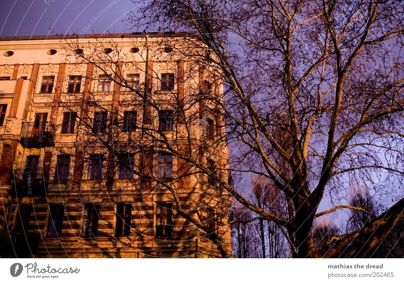 evening sun Environment Nature Beautiful weather Tree Capital city Deserted House (Residential Structure) Manmade structures Building Architecture