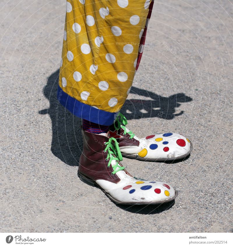 clown Joy Entertainment Clown Masculine Man Adults Legs 1 Human being Circus Clothing Pants Overalls Footwear Funny Crazy Blue Multicoloured Yellow Red White