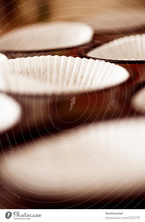 A Food Dough Baked goods Dessert Candy Nutrition Delicious Muffin Baking tin Colour photo Exterior shot Shallow depth of field Day Close-up