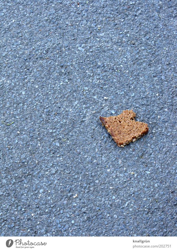 Bread for the world Food Black bread Nutrition Lie Brown Gray Thrifty Appetite Lack of inhibition Luxury Slices of bread Asphalt Sidewalk throwaway society