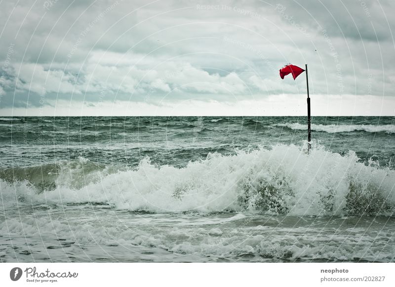 steadfast Elements Air Horizon Bad weather Storm Wind Waves Coast Beach North Sea Cold Strong Gray Green Loneliness Flag Subdued colour Exterior shot Deserted