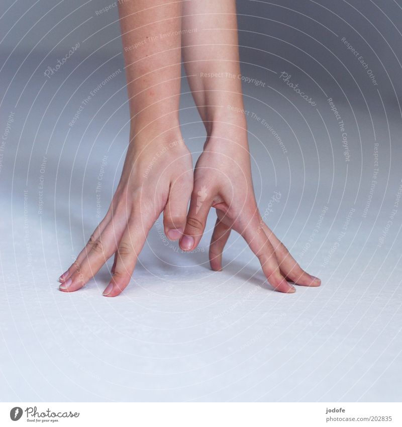 crowfoot Human being Arm Hand 1 Point Fingers Support Stop Skin spread fingers Splay 2 Colour photo Subdued colour Interior shot Detail Copy Space left